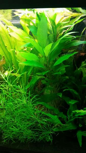 296846_0_82_20140629_13-jpg.jpg