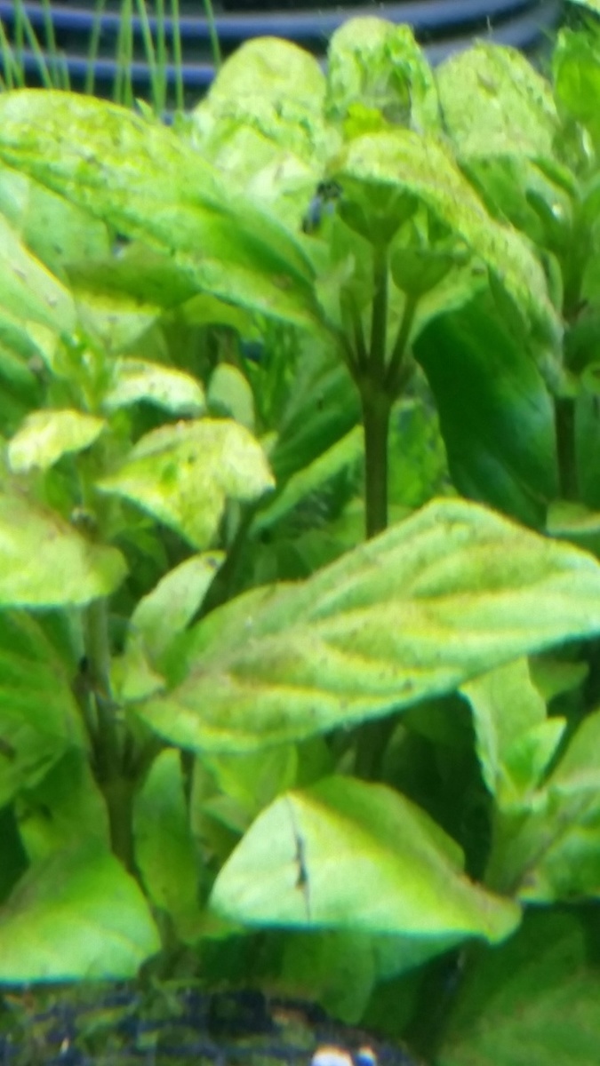 2zyg3kx.jpg