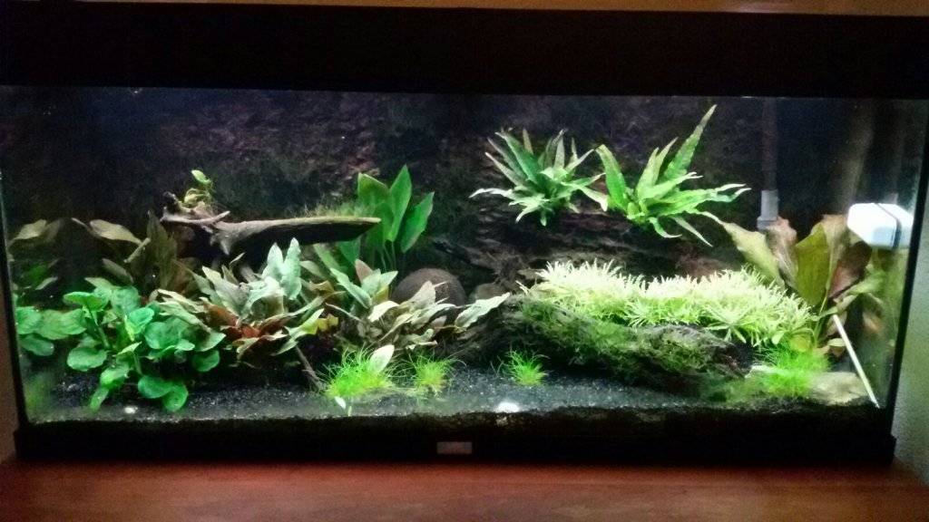 3 aqua 18-11-2016.jpg