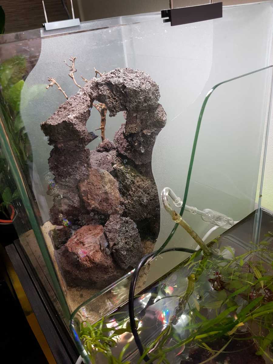 30l 1.jpg