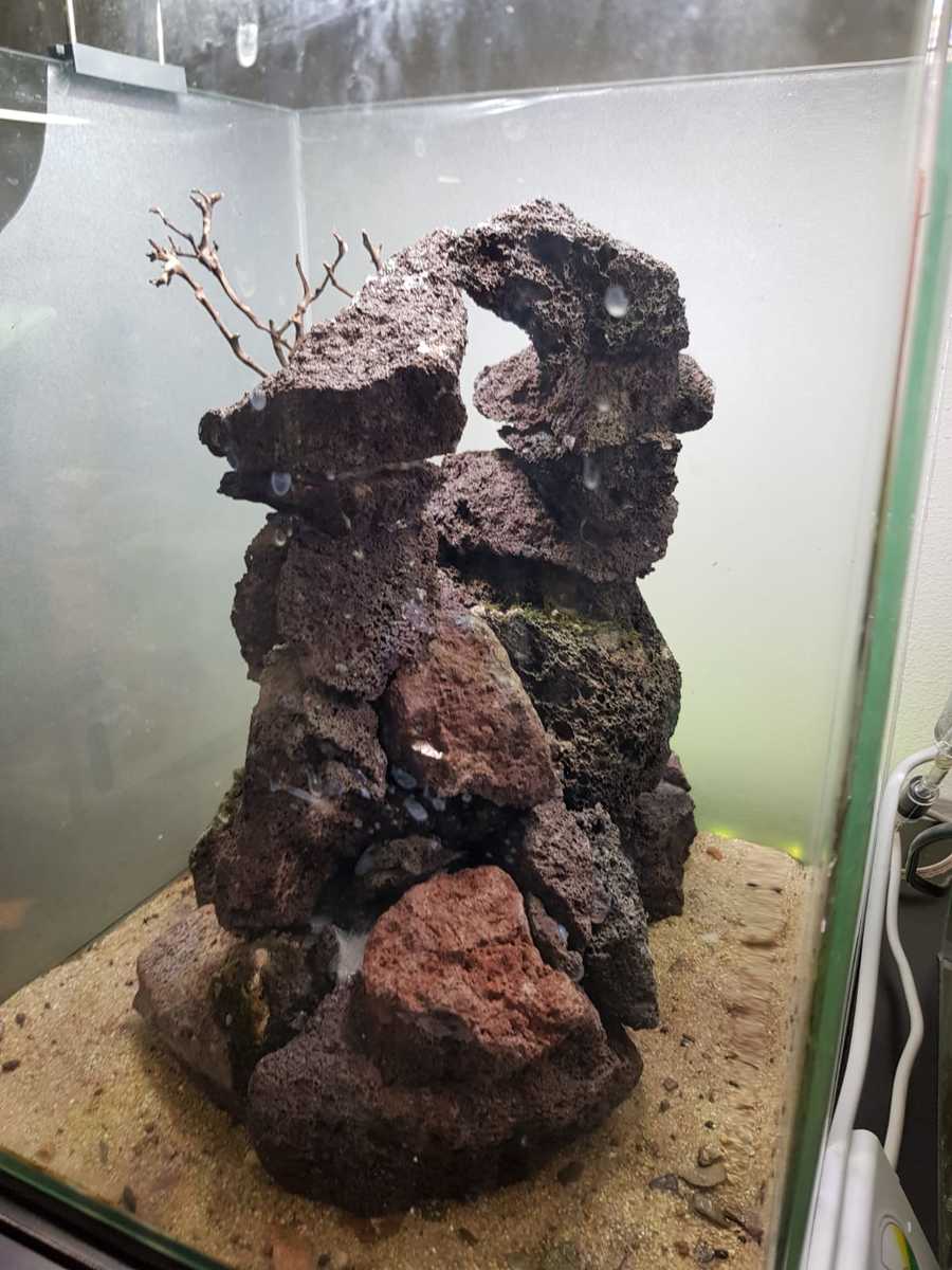 30l 2.jpg