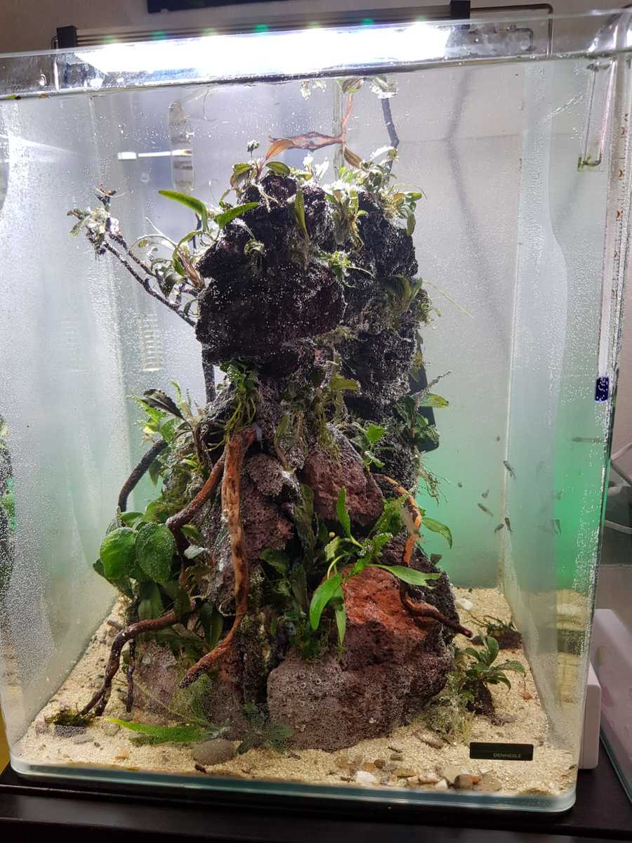 30l 4.jpg