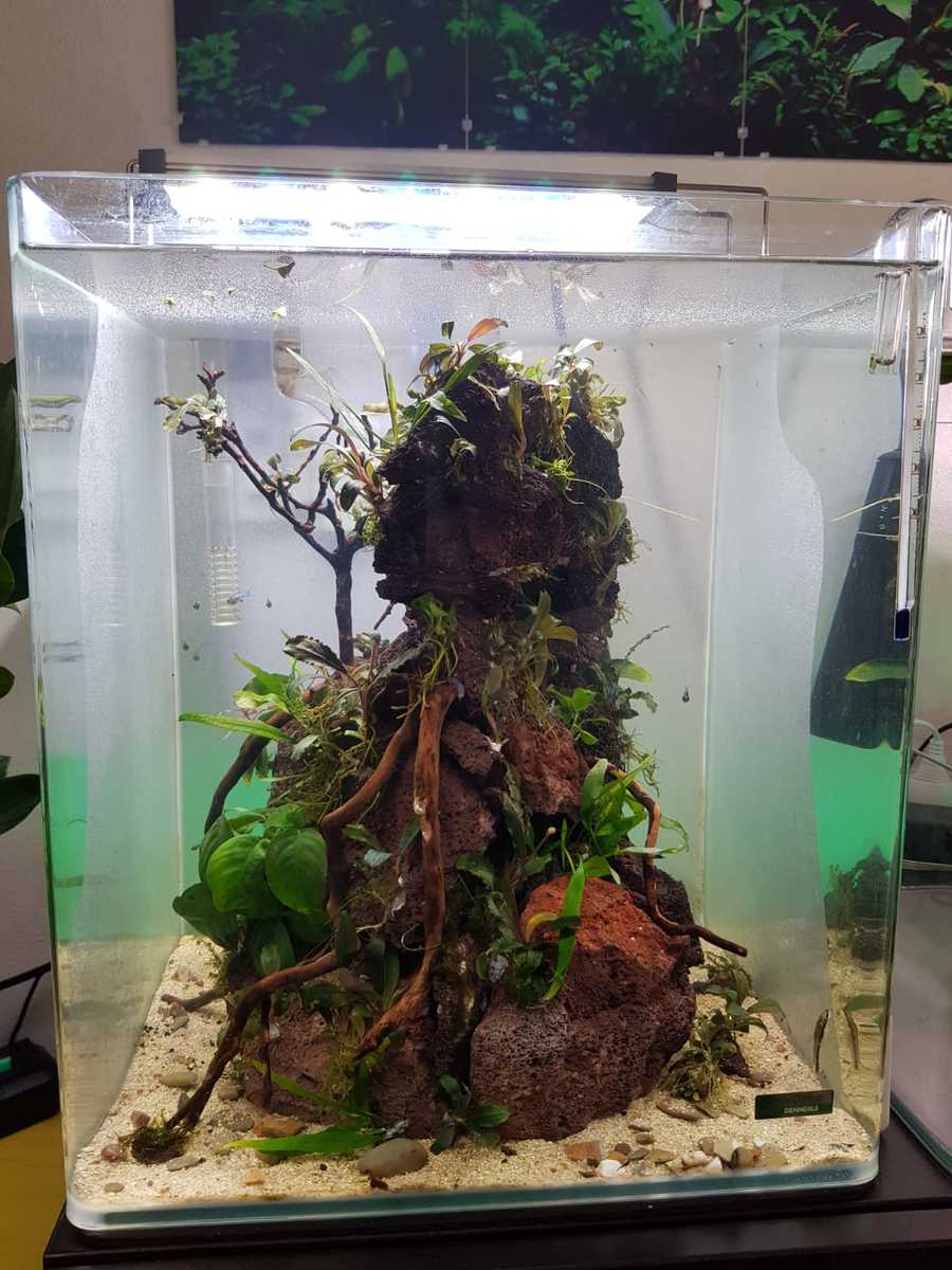 30l 8.jpg
