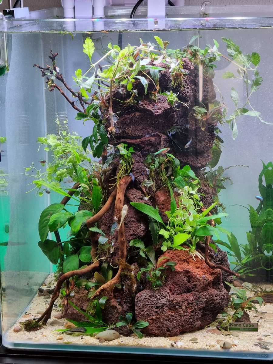30l week 1.jpg
