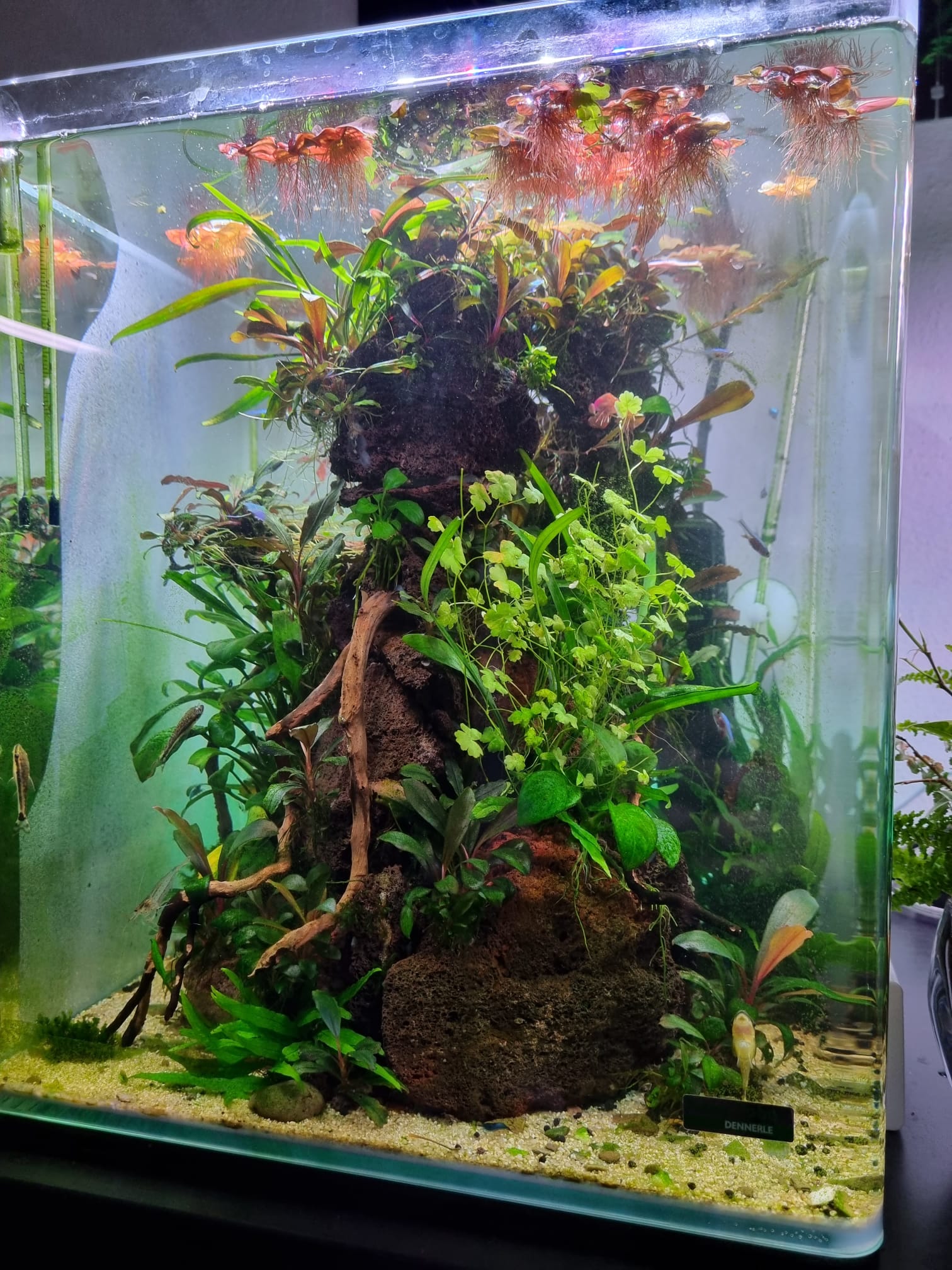 30l week 22.jpeg