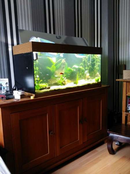 312685_0_82_160_liter_aquarium_vanaf_mijn_bed.jpg