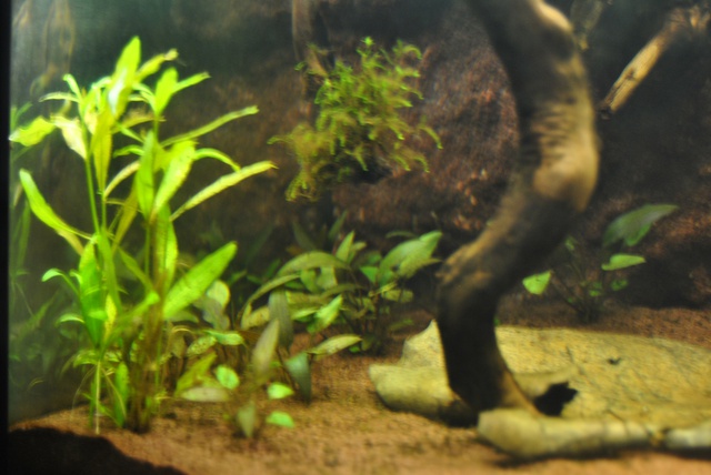313737rrj_0_85_2612201.jpg