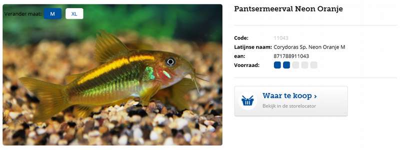 313864_0_82_corydoras_neon_orange.jpg