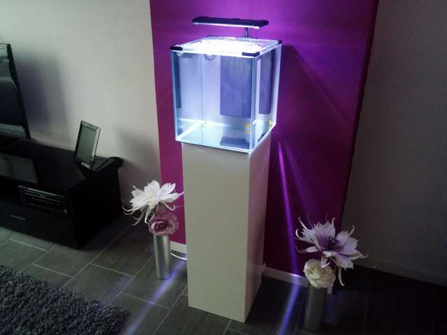 314914blup28_0_82_cam00187.jpg