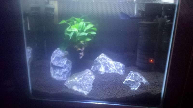 316148_0_82_20141205_191158.jpg