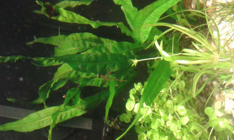 319472_0_82_20150705_093233.jpg