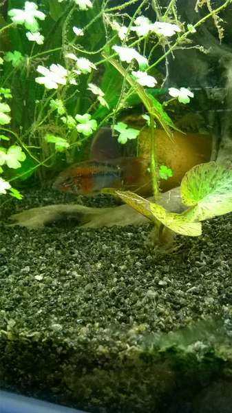 321796_0_82_wp_20151001_14_23_14_pro.jpg