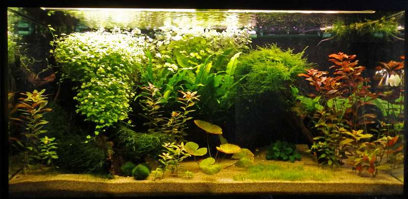 328279_0_82_aquarium_160114.jpg
