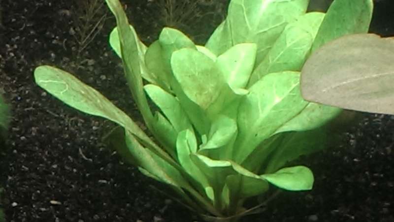 329644straatklinkerfm_0_82_20141110_14.jpg