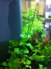 329686_0_82_img_1797.jpg