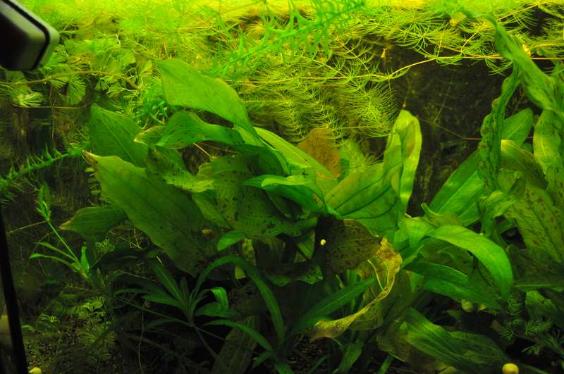332622_0_82_dsc_0010.jpg