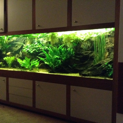 336786mjm.vandijk_0_85_aquariu.jpg