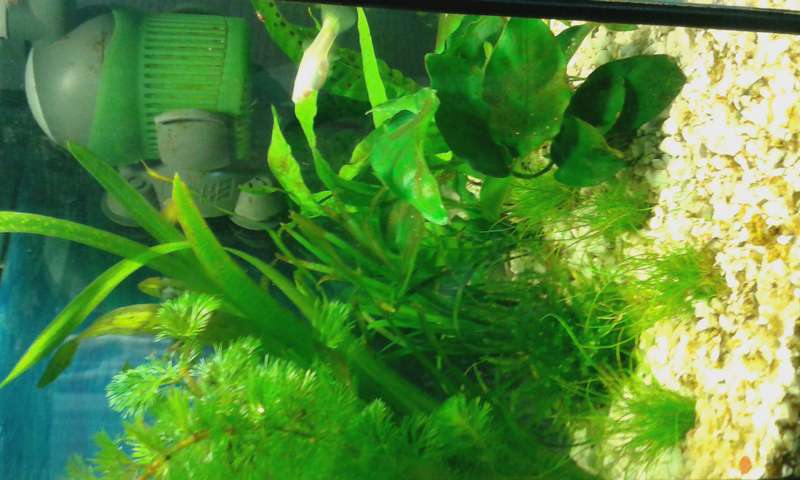 339184dimi81_0_82_20150529_155541.jpg