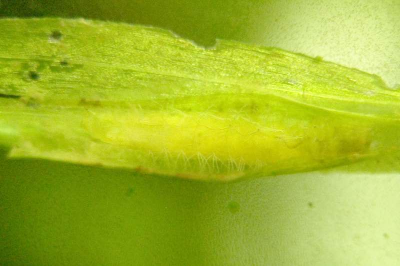 339931_0_82_crw_7365.jpg