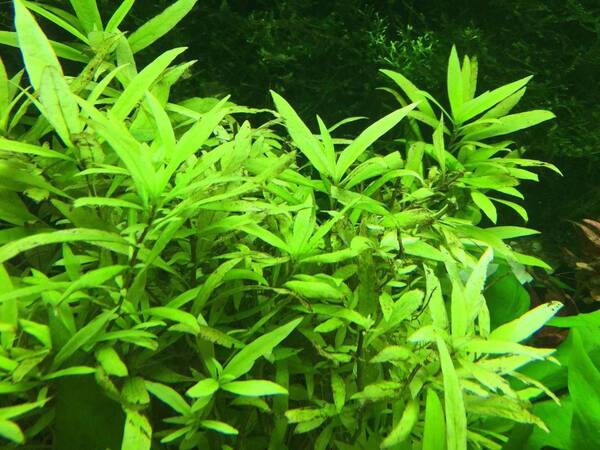 33DFBC21-04D5-4E67-A359-7820ED055CB3.jpeg
