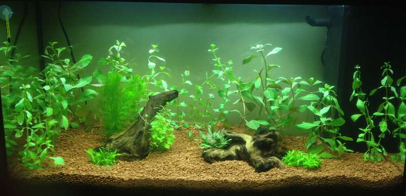 341698butternutsquash_0_82_aquarium_opstart_4.jpg