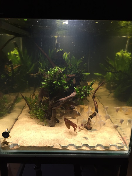 342856tuinkabouter_0_85_guppenbakke.jpg