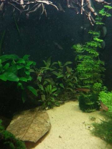 348188_0_82_20150128_143956.jpg