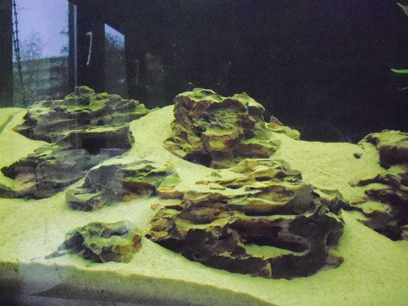 351579_0_82_006.jpg
