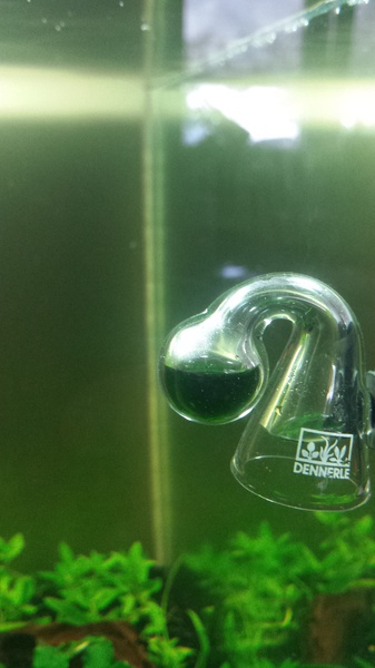 352349catcorp_0_85_aquarium_nieu.jpg