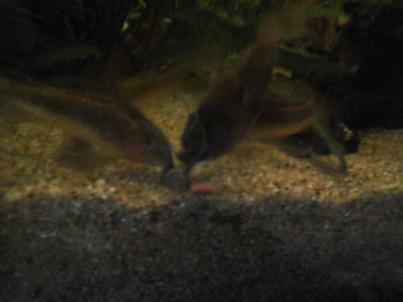 354755_0_82_20140422_202047.jpg