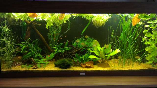 363854chris10_0_82_aqua_totaal.jpg