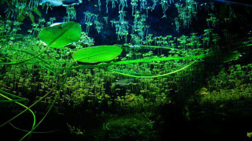 36520c74-9c54-47d0-b700-710bdfa19f57_zpsmo5zf4cu.jpg