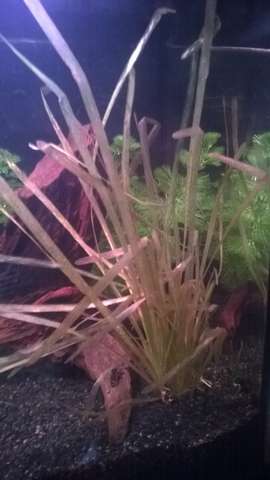 375631_0_82_wp_20140808_0011.jpg