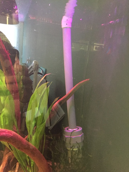 381244tuinkabouter_0_85_guppenbakke.jpg