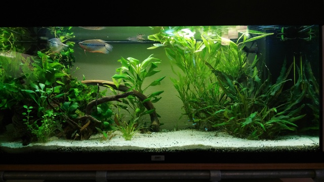386749anneb_0_85_aquariu.jpg