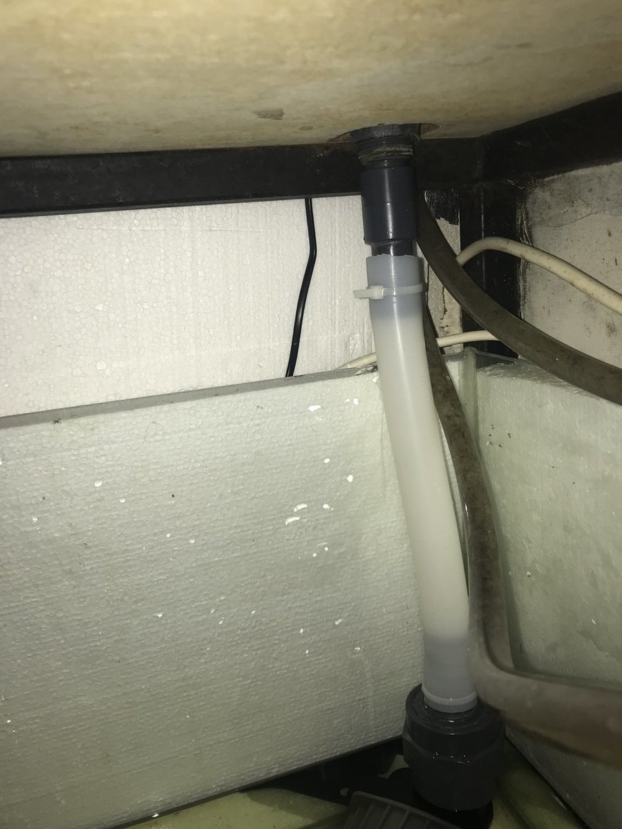 386BAF41-E3FC-40CF-AE3D-CF631E0B9463.jpeg