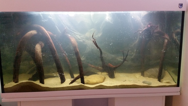 388846vonhinten_0_84_vonhinten_aqua_5.jpg