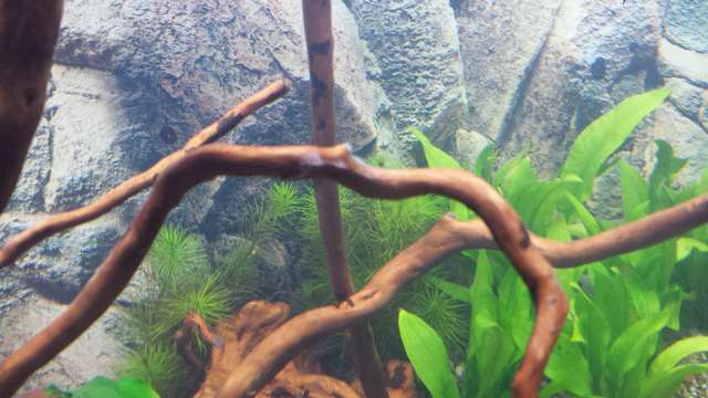 389971_0_82_20140131_194115.jpg