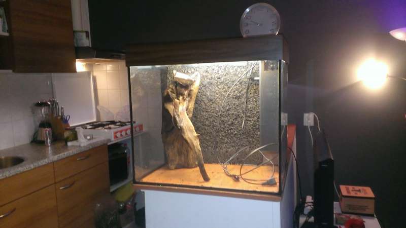 393597mirznddjoards_0_82_wp_20140214_004.jpg