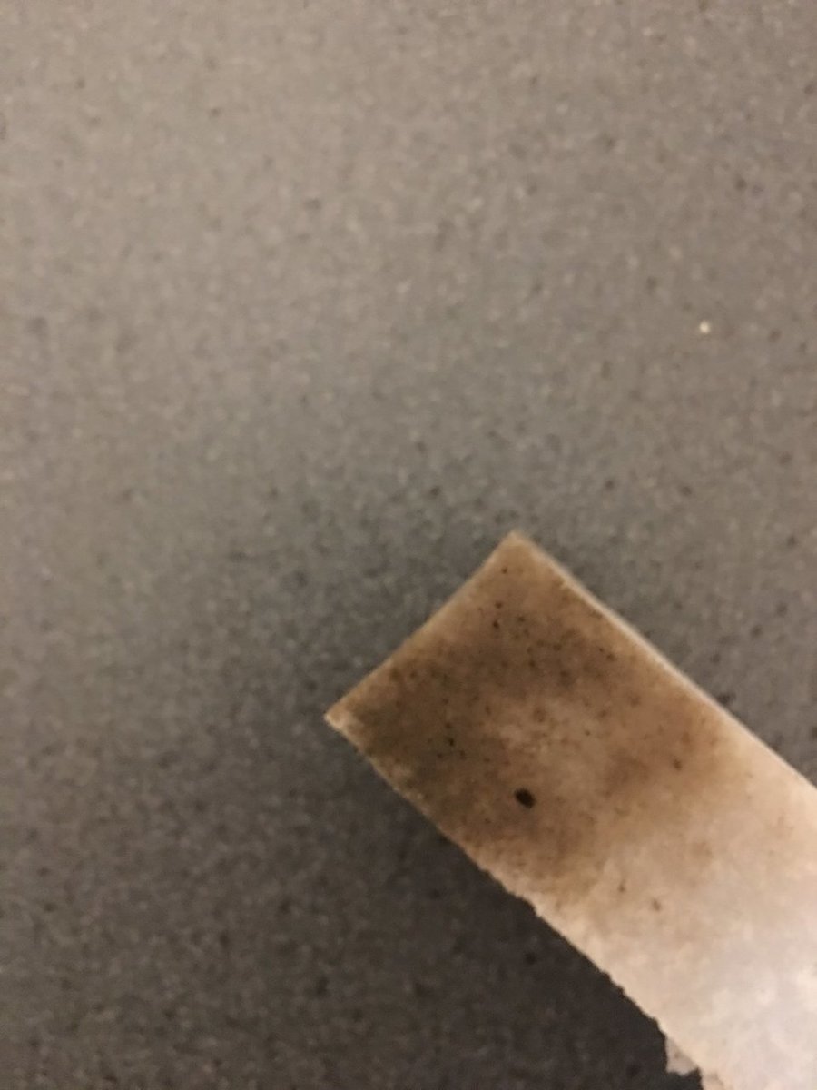 3E145EEC-DCD7-44CE-9DB4-E911A2BA67D2.jpeg
