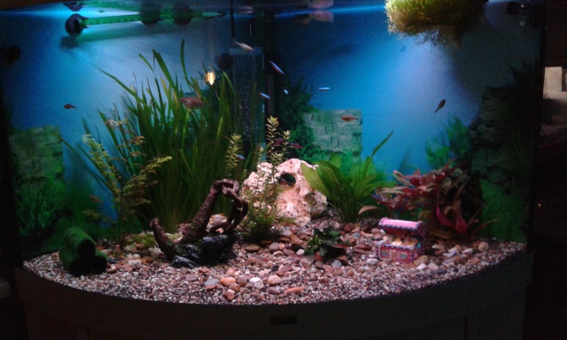 412276ruudmo_0_85_aquariu.jpg
