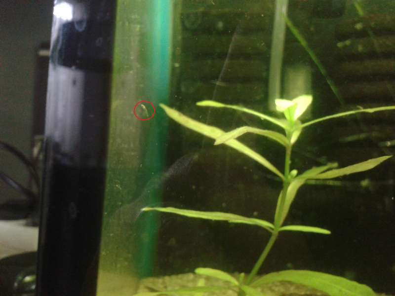 421455_0_82_20140513_162500.jpg