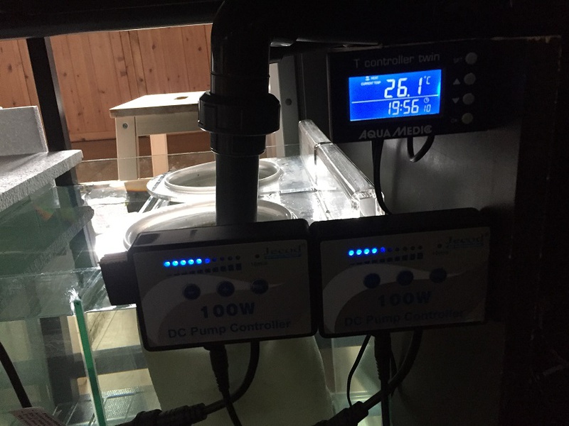 436979tuinkabouter_0_85_guppenbakke.jpg