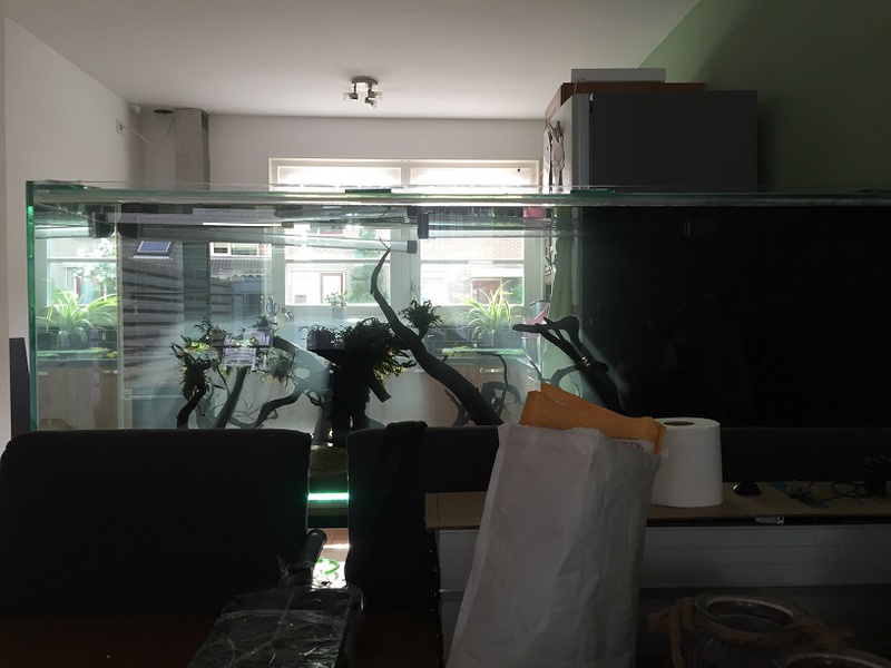 443949tuinkabouter_0_85_guppenbakke.jpg