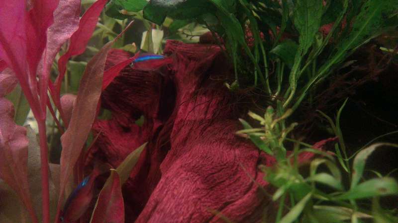 447854_0_82_imag0212_burst004.jpg