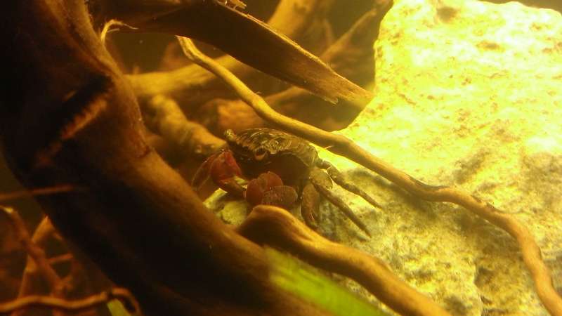 457119mirznddjoards_0_82_wp_20140219_046.jpg
