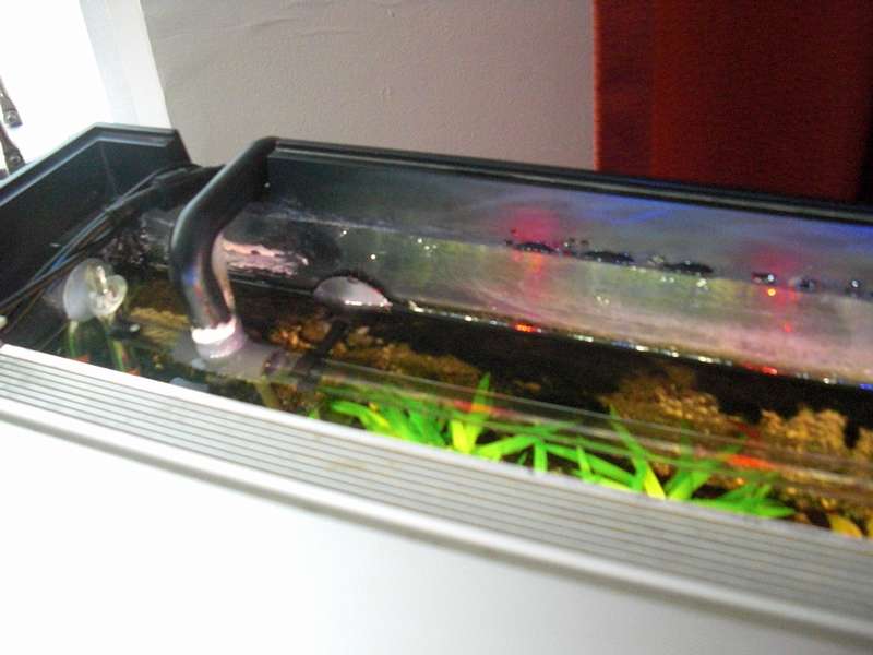 462566_0_82_cimg2114.jpg