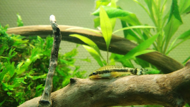 488237anneb_0_85_aquariu.jpg