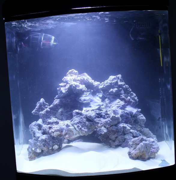488883popol_0_82_aquar80.jpg