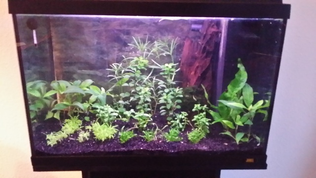 492874egalsnid_0_85_aquariu.jpg
